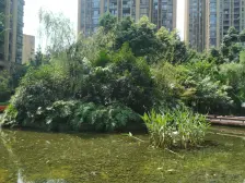 融侨 融侨花漫庭四房150万