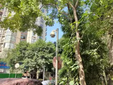 小区住家环境好,视野开阔,少有的户型