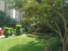 融侨半岛 金辉广场 看湖4房 安心出售