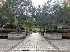 轻轨房+商圈配套好+证在手满二年没增值税+装修保持好