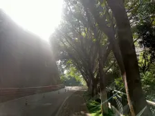 融侨 金辉融侨半岛香弥山1号三房113万