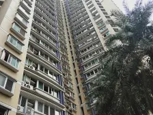 正规三房,户型方正采光好,住家精装(树)(人)