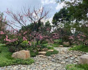 恒大滨河左岸二期3室2厅东南