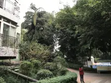 电梯两房,交通方便,住家装修 业主诚心出售