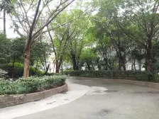 鸳鸯一室一厅 户型方正 位置居家安静 交通便利