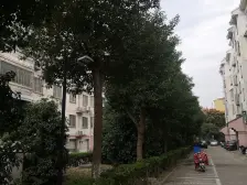 顶楼带阁楼,满两年,精装自住,交通便利