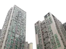 金城银樽 3室1厅 东南