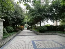 鸳鸯 金城银樽二房70万