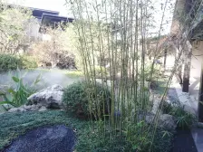 六号线地铁口 三房 落地窗能看河 苏式 国风园林