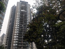 弹子石 东海长洲B区三房78万