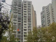 大川水岸 4室2厅 南