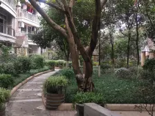 石马河 大川水岸三房128万