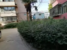 政通路118弄 2室1厅 南