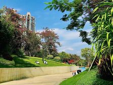 恒大城 2室2厅 东南