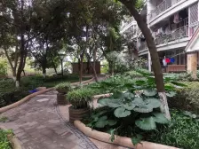 小高层,精装四房,带露台,户型方正采光好