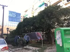 1号线共康路+全明精装修+宝山万达+绿地风尚广场