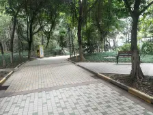 弹子石 东海长洲B区三房63万