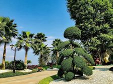 炳三区恒大城精装套三出售!出行方便,配套齐全 !