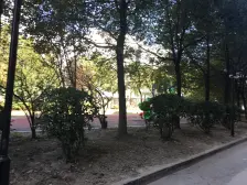 通河泗塘·民主敦发小区·2室·1厅