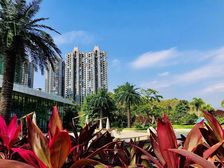 恒大城新上1室1厅1厨1卫精装修户型,拎包入住