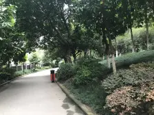 冉家坝 逸静丰豪二房91万