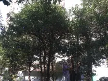 近地铁,交通便利,非顶楼房东诚心出售!