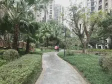 龙头寺 天江鼎城博园三房145万