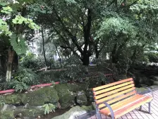 都市桃源 2室1厅 东南