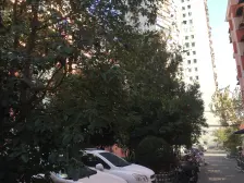 凉城一村 2室1厅 南