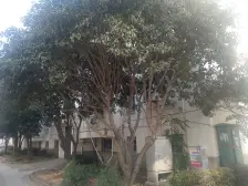 一楼带前后花园,平江小本部,门前可停车,