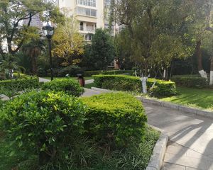 爱琴海旁端头板房电梯入户精装修带家具家电拎包入住