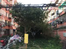 江湾 · 凉城一村 · 2室 · 1厅