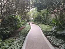 香港置地带花园地下室