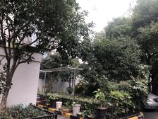 新上好房静安内环内非顶层高得房3站人广