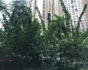 朗基龙堂2室1厅东