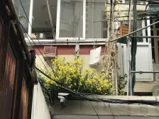 近地铁,精装 通风好,满五 必看好房