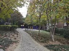 翡翠国际 3室2厅 西