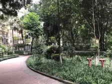 骏逸江南 2室1厅 西南