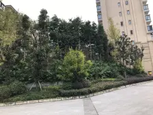 轻轨旁,购物方便,出入方便,精装2房,业主急卖。