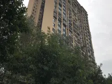 业主诚心出售,一楼三房双卫,可经营小卖部