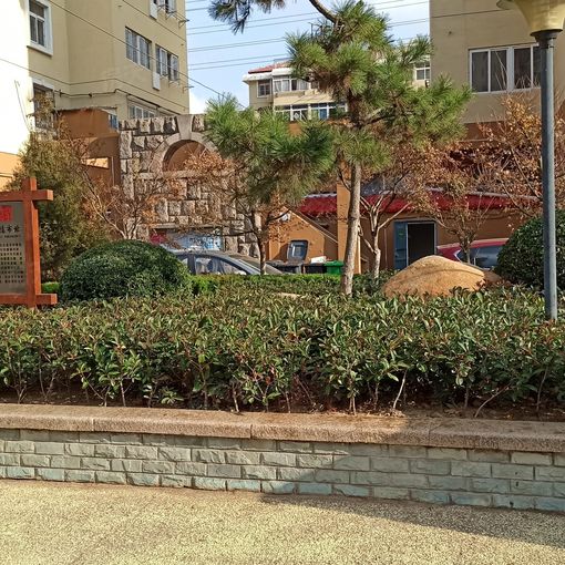 海岸路小区2室1厅1卫南北朝向1700.00元/月出租