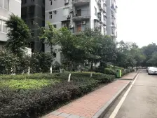 玲珑雅居 2室1厅 南