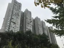 中铁西子香荷 2室2厅 东