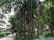 新上,1号线旁怡锦苑三期精装单配急售,随时看房