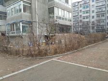 警官之家2室1厅东南西
