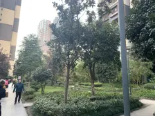 联芳桥 大城小爱二房