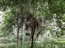 联芳桥 怡锦苑二期二房45万