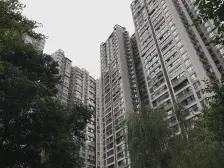 中铁西子香荷 2室2厅 西