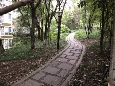 单价玖仟买江北嘴正看国金板式小高层还要犹豫吗