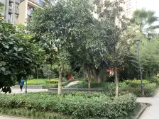 正规两房,高楼层,通风采光好,住家装修